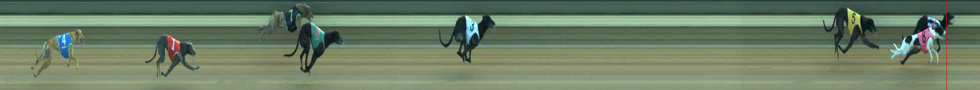 Race result finish photo